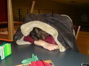 DSC00479.jpg