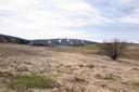 IMG_0148.JPG