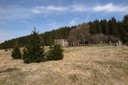 IMG_0165.JPG