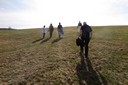 IMG_0224.JPG