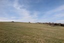 IMG_0225.JPG