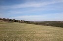 IMG_0226.JPG