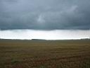 DSC03442.jpg