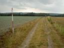 DSC03443.jpg