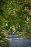 K293_2010_dsc_7447.jpg