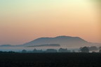 K293_2010_dsc_7591.jpg