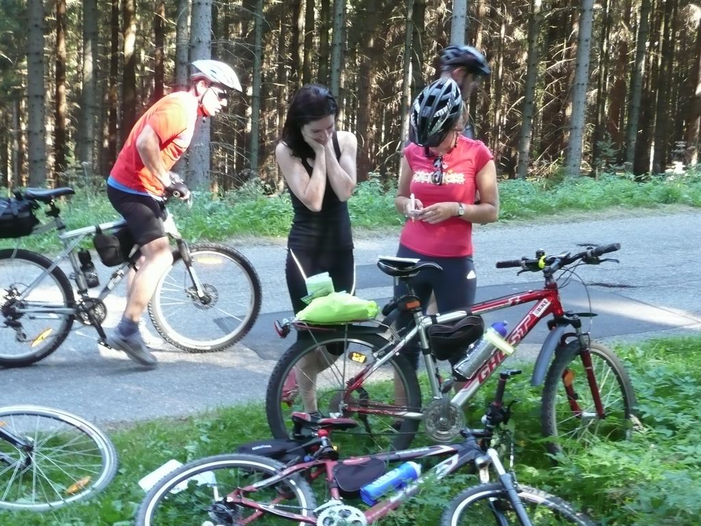 kliknutím přejdete na další obrázek