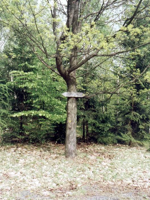kliknutím zavřete okno