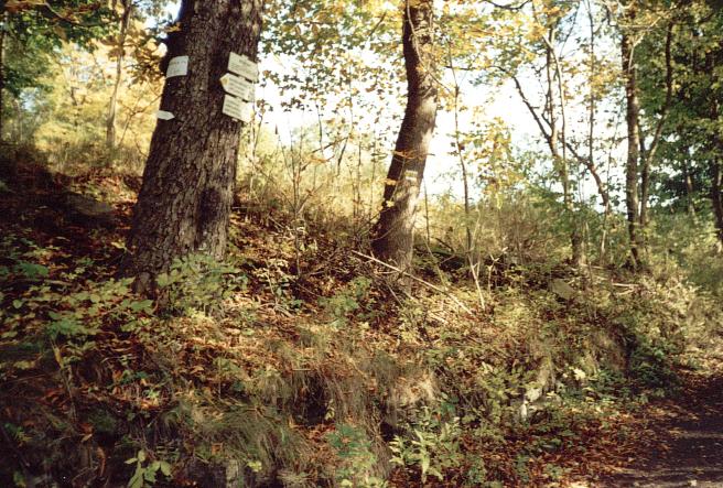 kliknutím zavřete okno