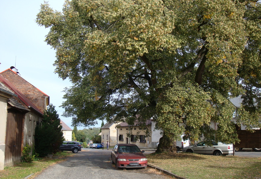 kliknutím zavřete okno