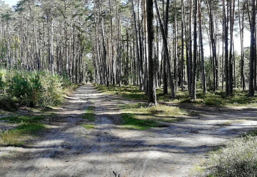 kliknutím zavřete okno